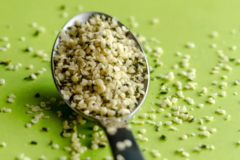 Can Dogs Eat Hemp Seeds? Dogable