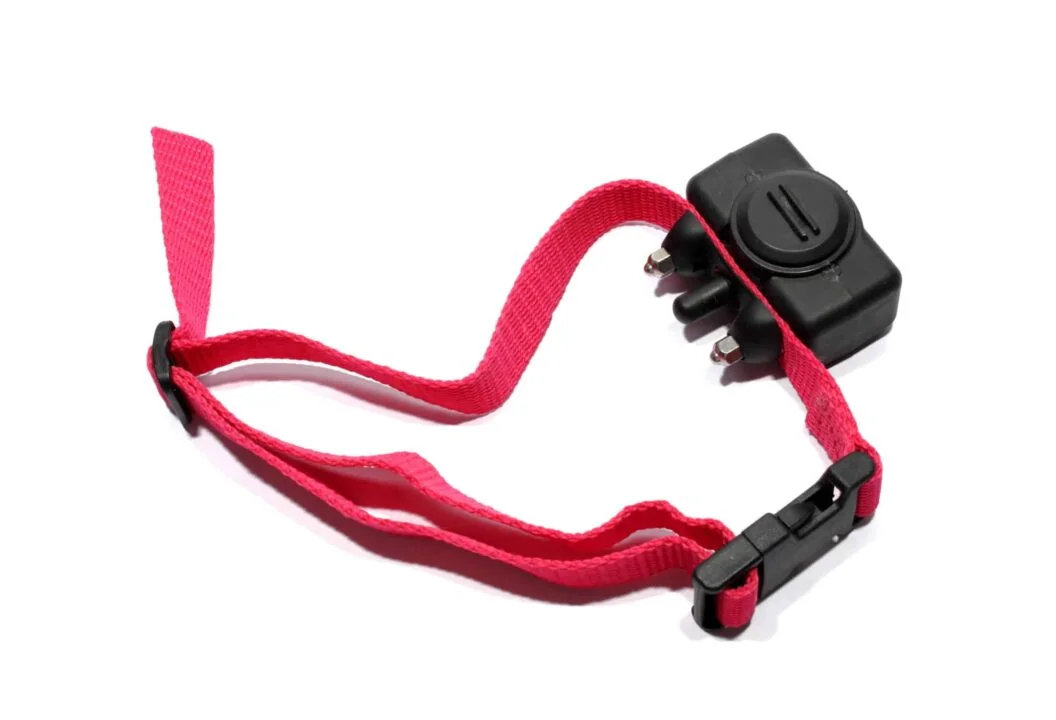 Best Bark Collar Reviews