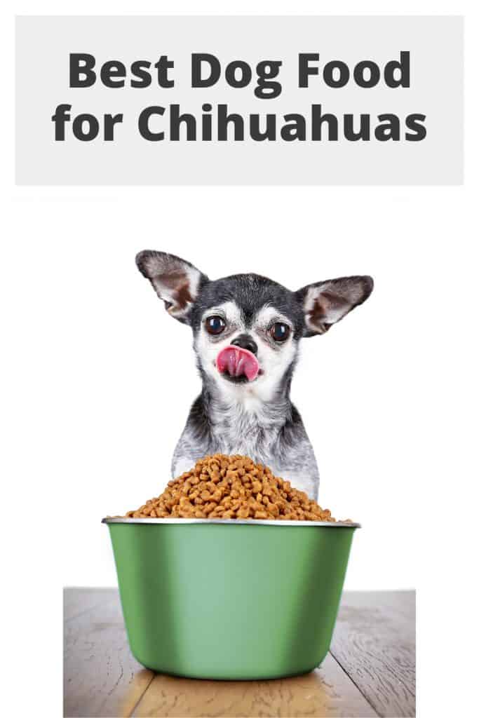 Best Dog Food For Chihuahuas