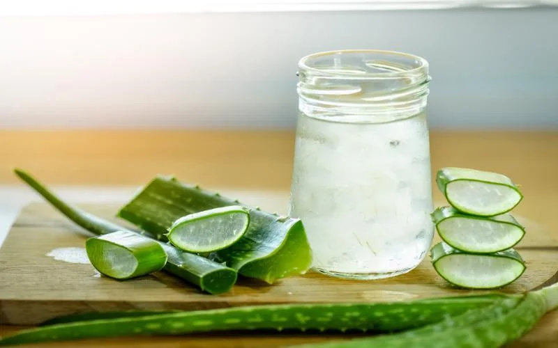 Can Dogs Drink Aloe Vera Juice