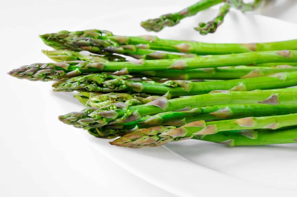 Can Dogs Eat Asparagus