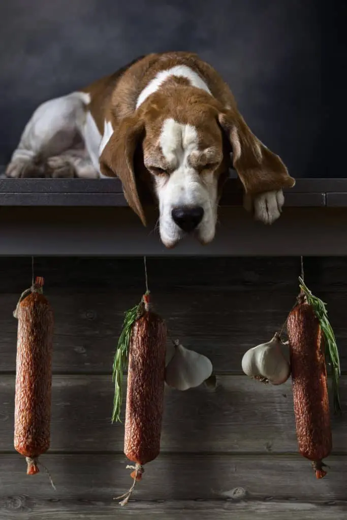 Can Dogs Eat Salami
