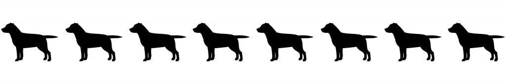 Lab Dog Silhouettes