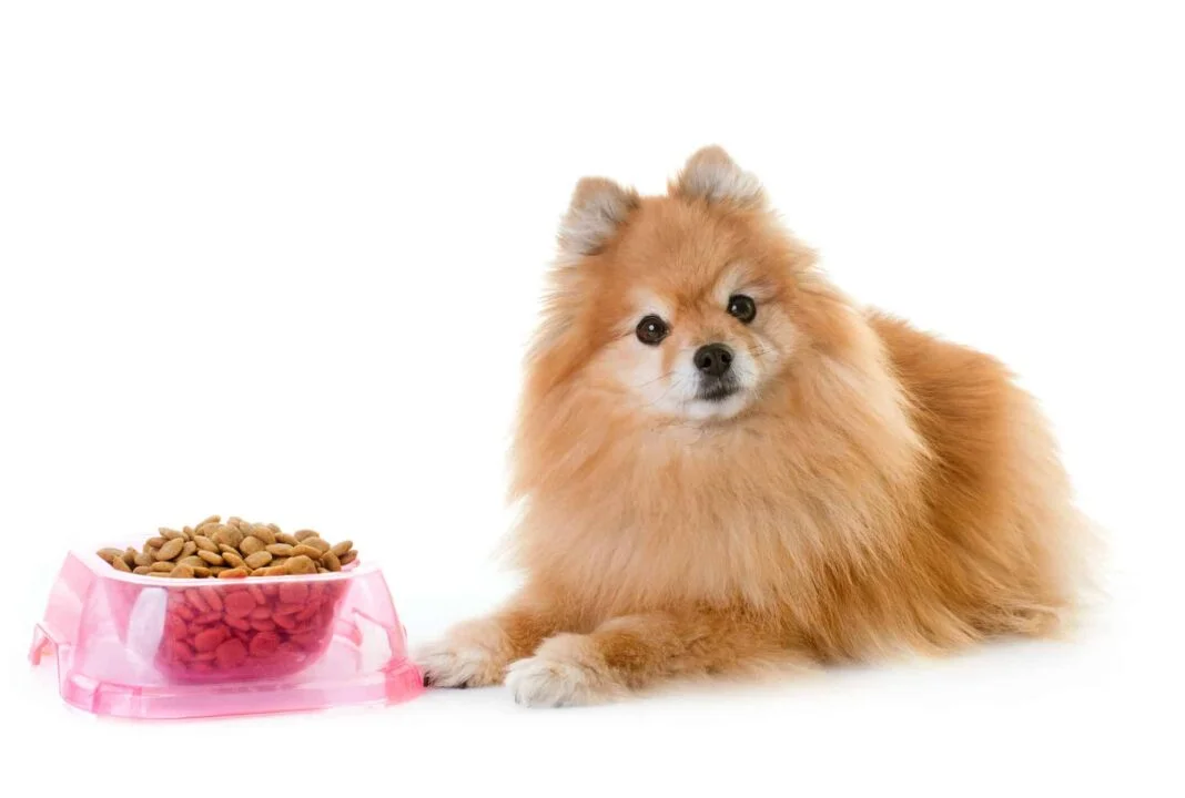 Pomeranian Dog Food